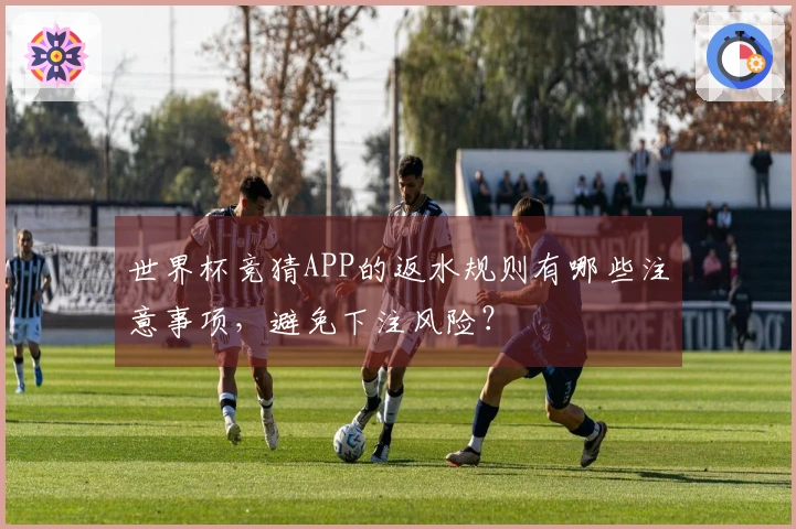 世界杯竞猜APP的返水规则有哪些注意事项，避免下注风险？