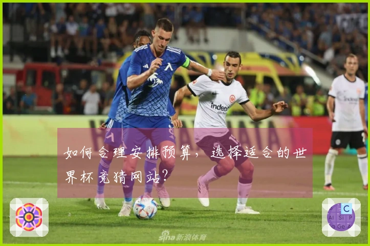 如何合理安排预算，选择适合的世界杯竞猜网站？